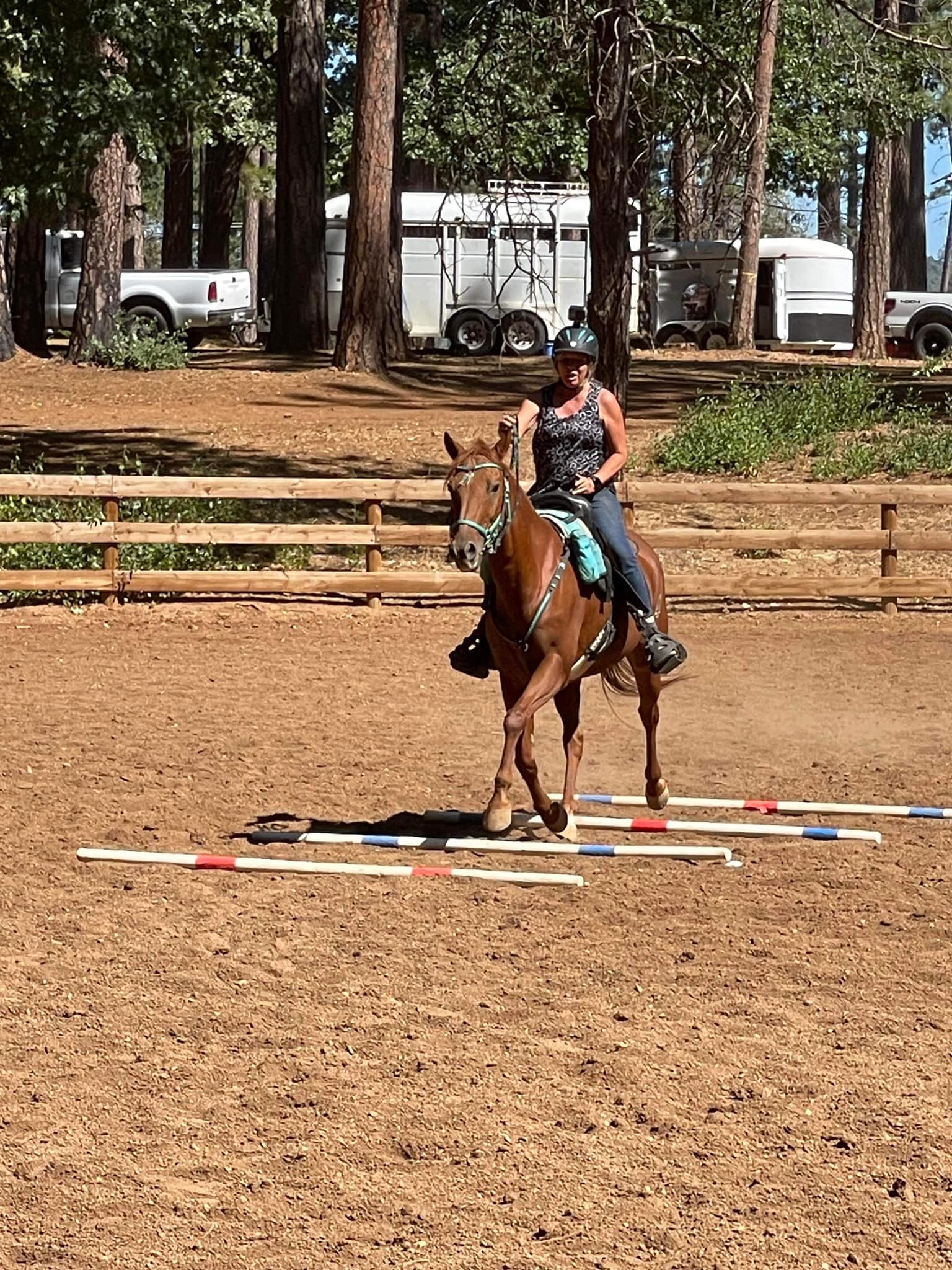cowboyadult